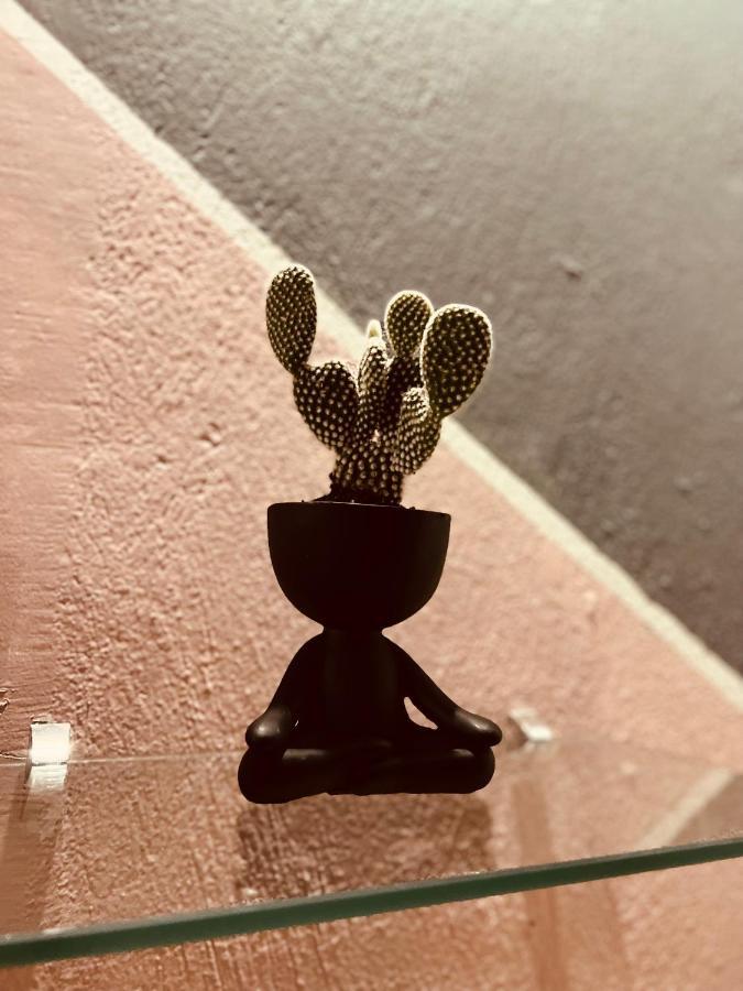 Hotel Adventure Lodge 哈科 外观 照片